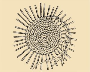Illustration of Coiled Spiral Base