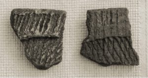 Ocmulgee Pottery (A.D. 900-1250)