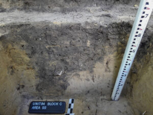 Wall excavation showing post hole color differences